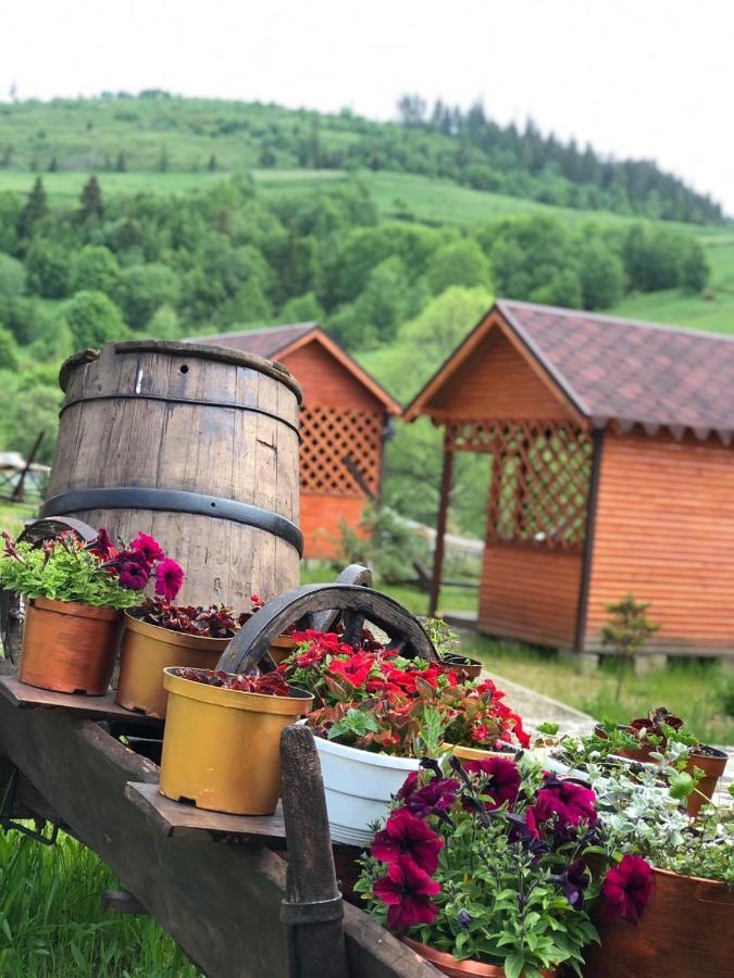 Appartamento Шервуд Myta Esterno foto
