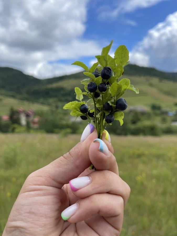 Appartamento Шервуд Myta Esterno foto
